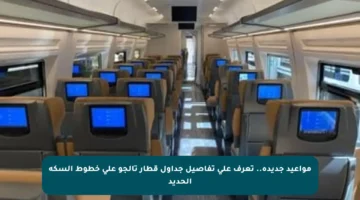 مواعيد جديدة.. تعرف على تفاصيل جداول قطار تالجو على خطوط السكة الحديد